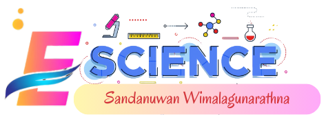 The LMS of Sandanuwan Wimalagunarathna